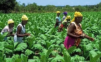 Farmers. File photo