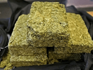 Weed Bricks.png?resize=680%2C510&ssl=1