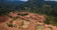 Illegal mining is contributing to the loss of vegetation