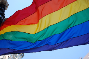 Queer flag