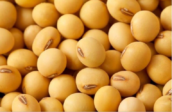 In 2017, U.S. soybean exports to China reached a volume of US$14.573 billion