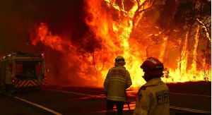 Firefighters Tackle A Fire Outside Sydney