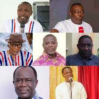 Several bigwigs of the NPP lost in the party's national elections on Saturday