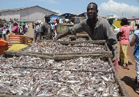 File photo : Some measures have been introduced to sustain the fishermen during the closed season