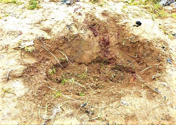 A shallow grave where one of the body's was found