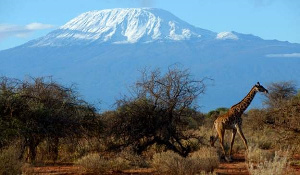 Tanzania's Mount Kilimanjaro, Africa's highest peak, is a major tourist attraction