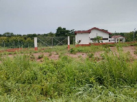 A photo of the mango factory