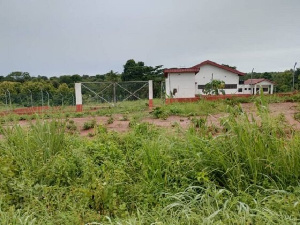 Mango Factory Abandoned