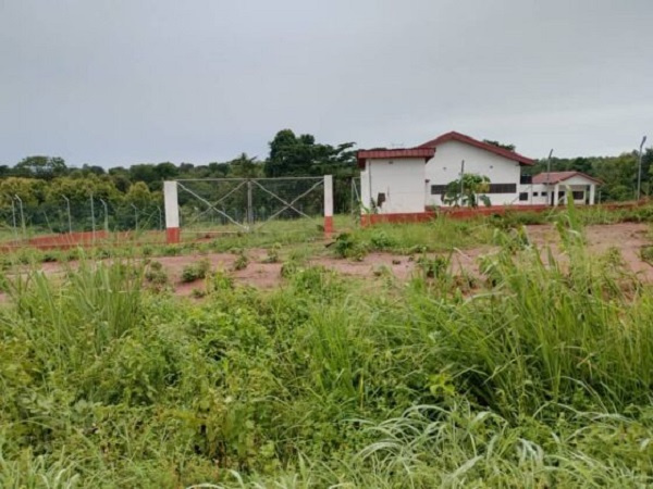 A photo of the mango factory