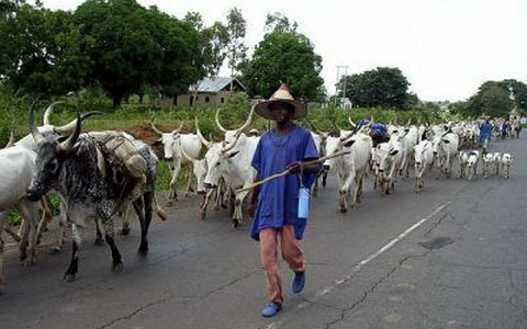 A Fulani man