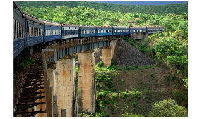 Tazara suspends train services