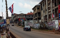 NPP have the decorated the roads with their flags