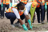 Zoomlion personnel plant trees