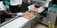 President Akufo-Addo at Akro Farms Ltd at Apasare