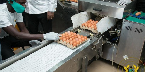 President Akufo-Addo at Akro Farms Ltd at Apasare