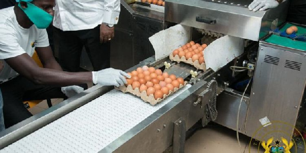 President Akufo-Addo at Akro Farms Ltd at Apasare