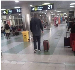 Papic Leaves Ghana.jpeg