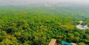 Aerial view of the Achimota Forest