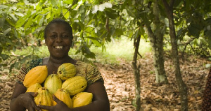 Female Cocoa Farmer