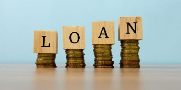 Savings and loan companies led in individual loan data