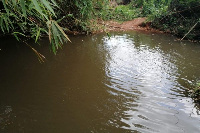 Chief of the area, emphasized that illegal mining was affecting farming and destroying water bodies