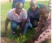 Leaders and some staff of TGH planting trees