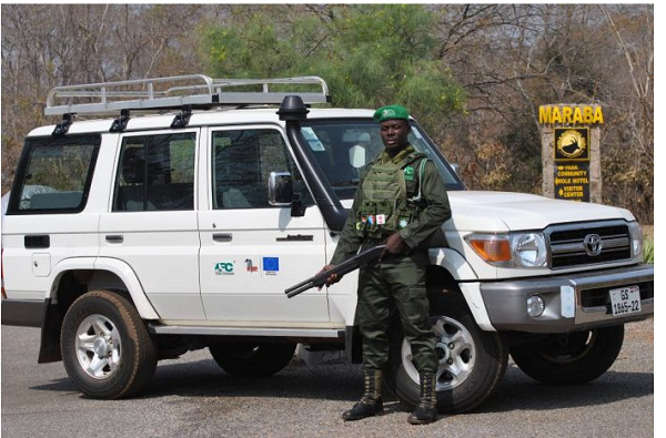 A staff of Mole National Park Toyota Land Cruiser all-terrain vehicle