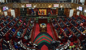 Kenya Parliament 888