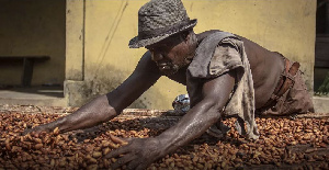 Cocoa Farmer  Market