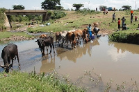 Residents share their only source of water with domestic animals