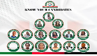 NDC-Canada's newly elected executives