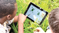 File photo: A farmer assessing his plants