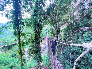 UNDP Ghana Forest Restoration  Canopy Walk Way0