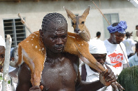 Aboakyer Festival is celebrated by the people of Effutu-Winneba in the Central region