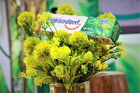 Pepsodent Herbal