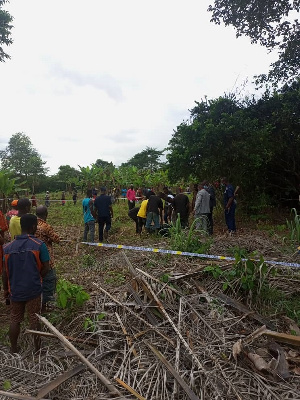 File photo: Farmer said he intends to sell off the python for an amount of GHC600