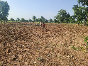 Tumu Farmers