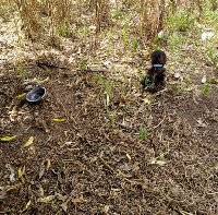 The boy was rescued with a rope tied to his leg and a feeding plate by his side