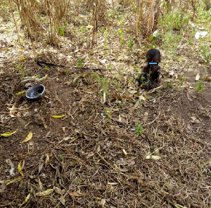 The boy was rescued with a rope tied to his leg and a feeding plate by his side