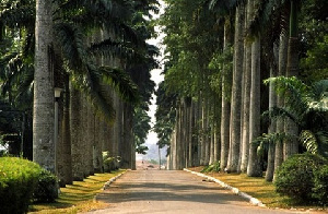 Aburi Gardens Ppls