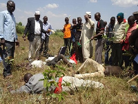 Some young boys are said to wash and chew the root of some grass known as 'juice'