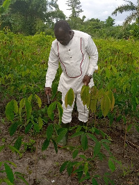 Alfred Obeng-Boateng, MP for Bibiani-Anhwiaso-Bekwai