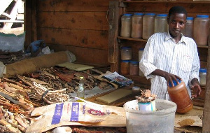 Herbal medicines on display