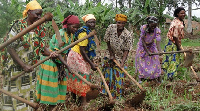 Rural women are critical to the success of almost all the 17 SDGs, according to Ban Ki-moon