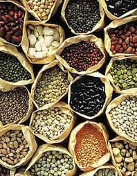 Seeds Agra