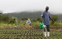 GAWU wants President Akufo-Addo to urge banks to lend more money to players in the Agric. sector