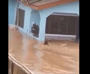 The inhabitants swimming in the 'flood pool'