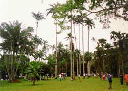 Aburi Gardens