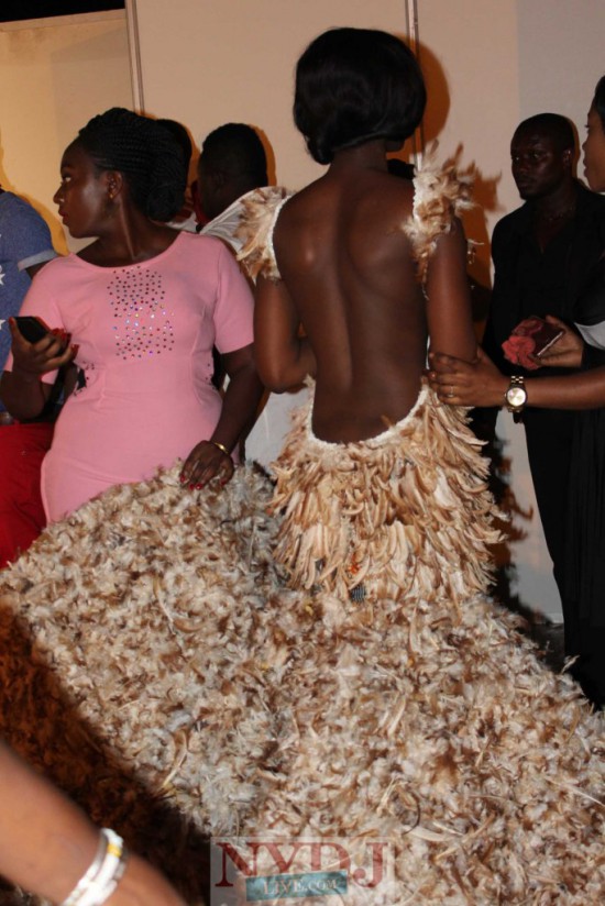 the much talked feathered dress