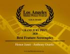 Anthony Osarfo wins ‘Grand Jury Gold Award’ at Los Angeles Motion Picture Festival/ International Film Awards